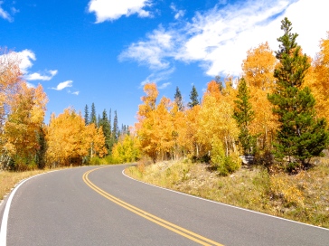 Autumn colors along Sand Lake Road in the Snowy Range in Medicine Bow National Forest in Wyoming