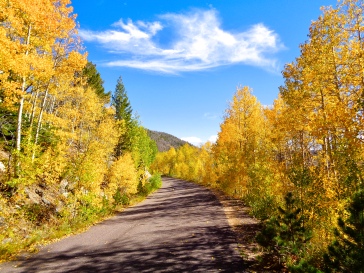 Autumn colors along Barber Lake Road in the Snowy Range in Medicine Bow National Forest in Wyoming